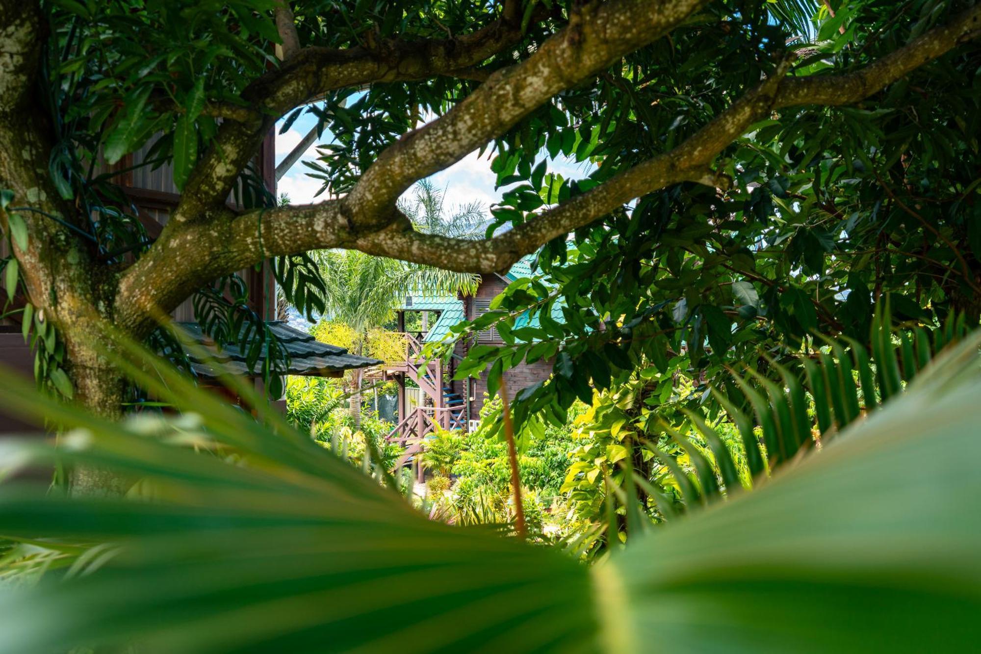 Lemongrass Lodge Бо-Валлон Экстерьер фото