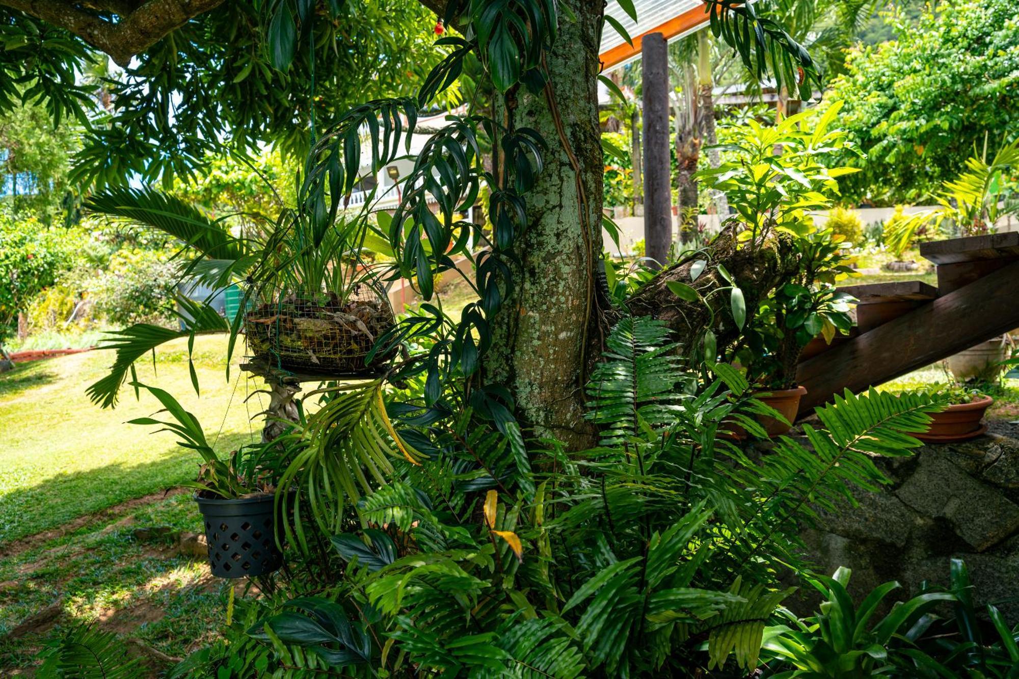 Lemongrass Lodge Бо-Валлон Экстерьер фото